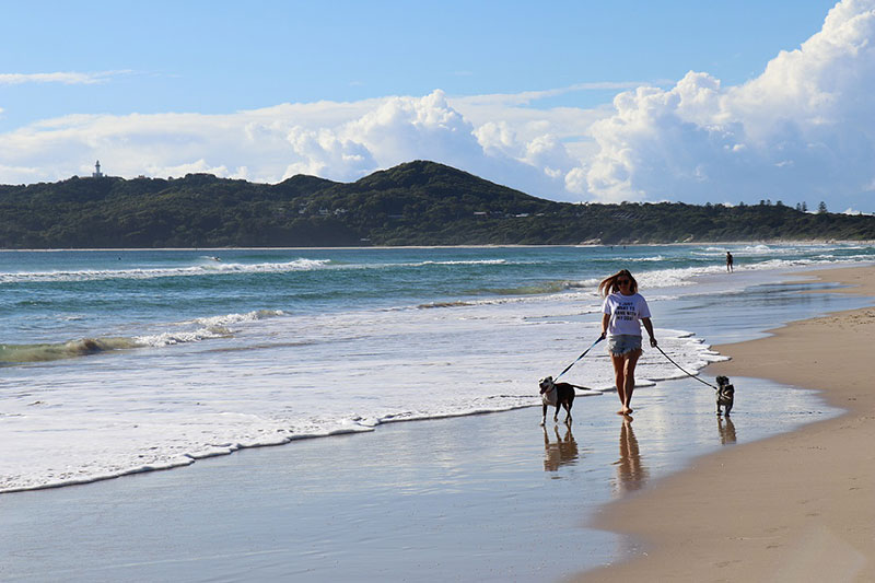 Lady walking dogs on beach